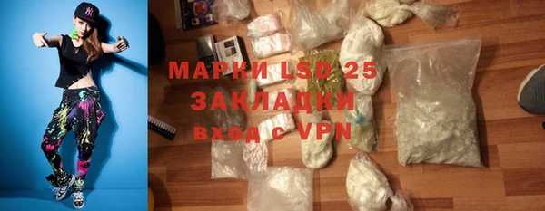 хмурый Алексин