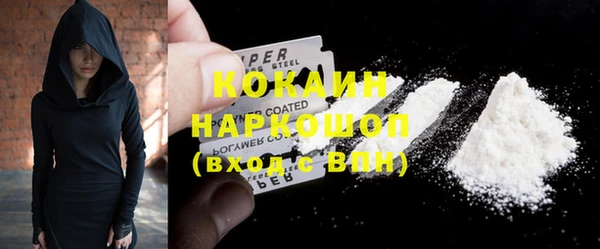 хмурый Алексин