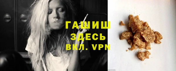 хмурый Алексин