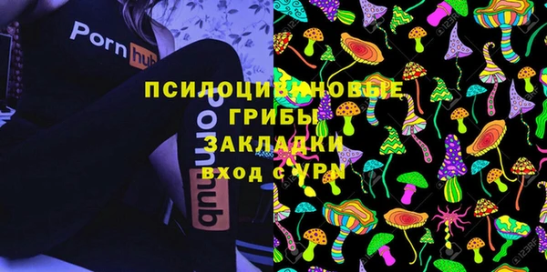 spice Алзамай