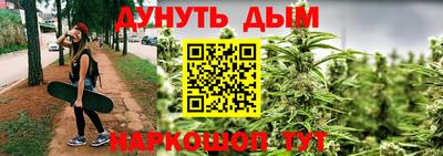 прущие грибы Гусиноозёрск