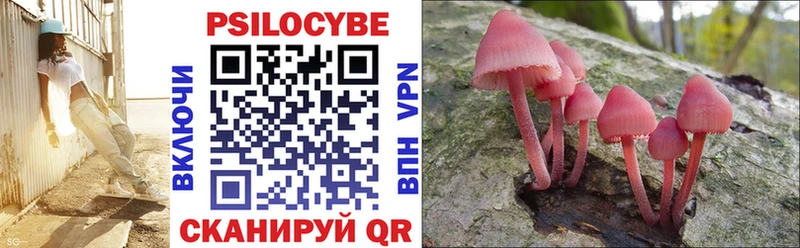 цена   Нарткала  Галлюциногенные грибы Cubensis 