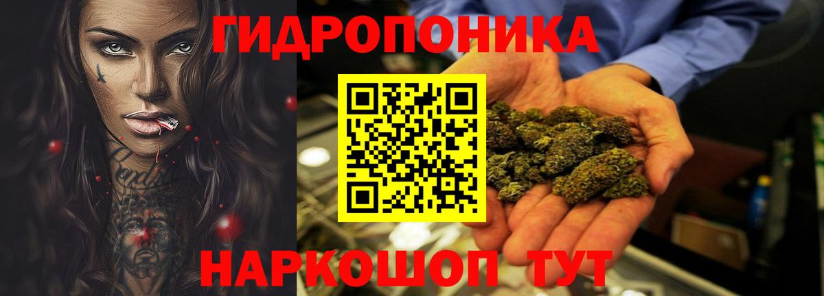 Бошки Шишки AK-47 Нарткала